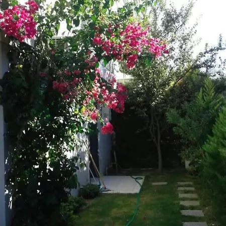 Cesme White Pool Villa Villa Çeşme